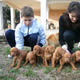 Cuccioli cani da tartufo